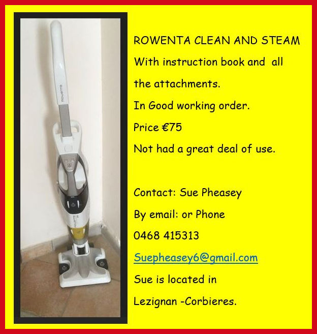 rowenta stem clener